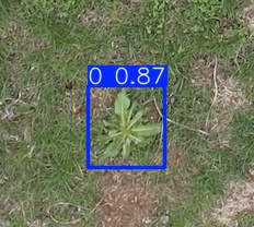 Annotated Image